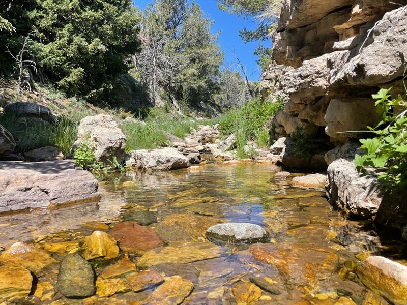 First Water Creek Mountain Retreat : Arminto : Natrona County : Wyoming