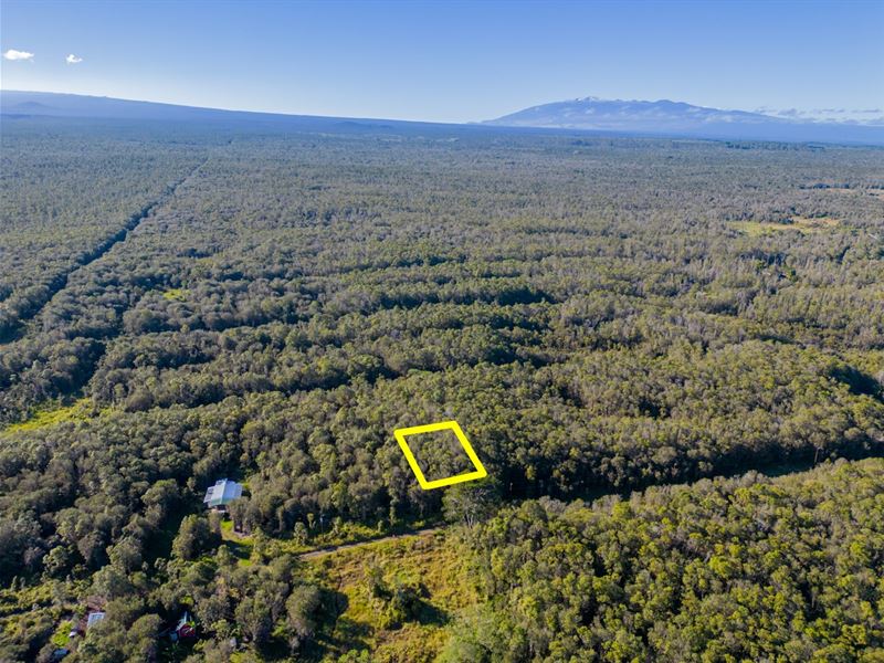 Hawaii Dream, 0.28 Acre : Mountain View : Hawaii County : Hawaii