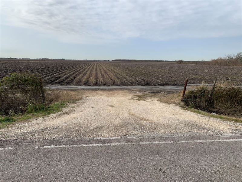 P-B Farm, Pleak : Richmond : Fort Bend County : Texas