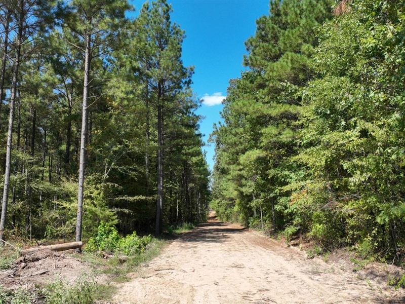 White Hall, AR 577 Acres, Jeffer : White Hall : Jefferson County : Arkansas