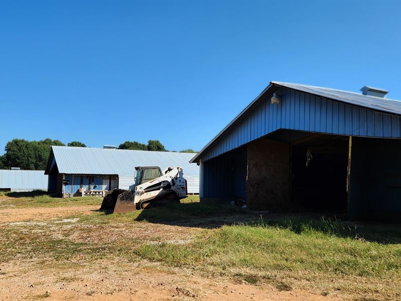 7 Pullet Houses Chicken Farm : Royston : Walker County : Georgia