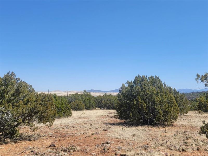 Get Away, Relax, Enjoy The Outdoors : Concho : Apache County : Arizona