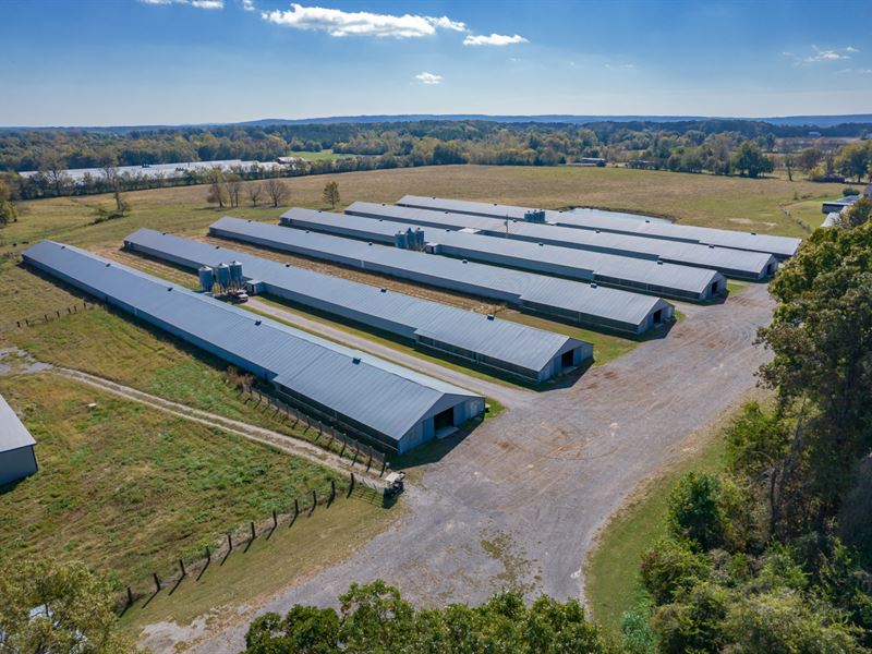 Little Cattle and Broiler Farm : Town Creek : Lawrence County : Alabama