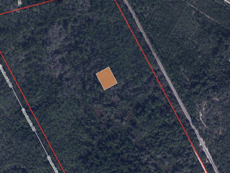 Undeveloped Vacant Lot in St. Johns : Satsuma : Putnam County : Florida