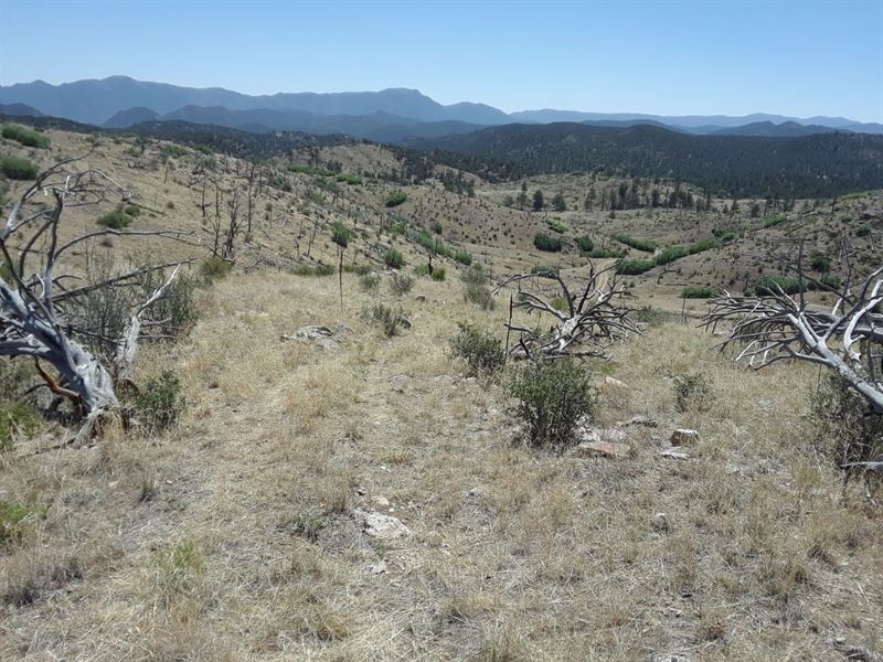 2.5 Acres in Fremont County, Co : Cotopaxi : Fremont County : Colorado