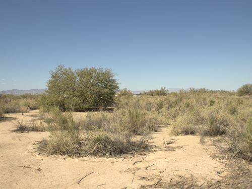 Start Investing with $501.23 Down : Mohave Valley : Mohave County : Arizona