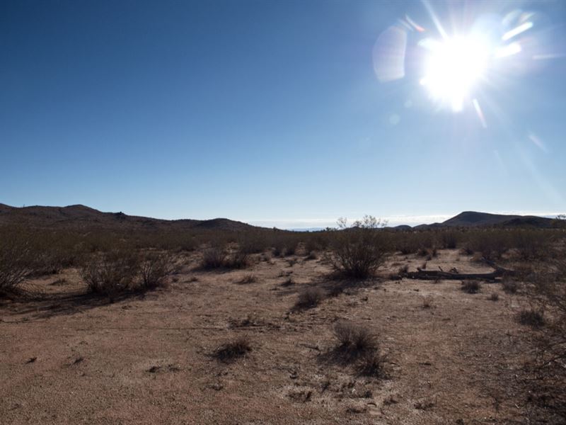 Your Investment for Your Future : Yucca Valley : San Bernardino County : California