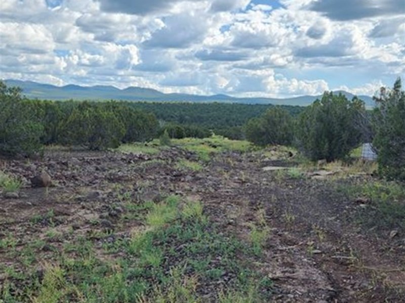 RV Friendly Lot Near Highway : Vernon : Apache County : Arizona