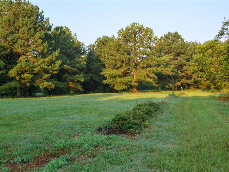Stunning 10 Acre Home Site in Pratt : Prattville : Autauga County : Alabama