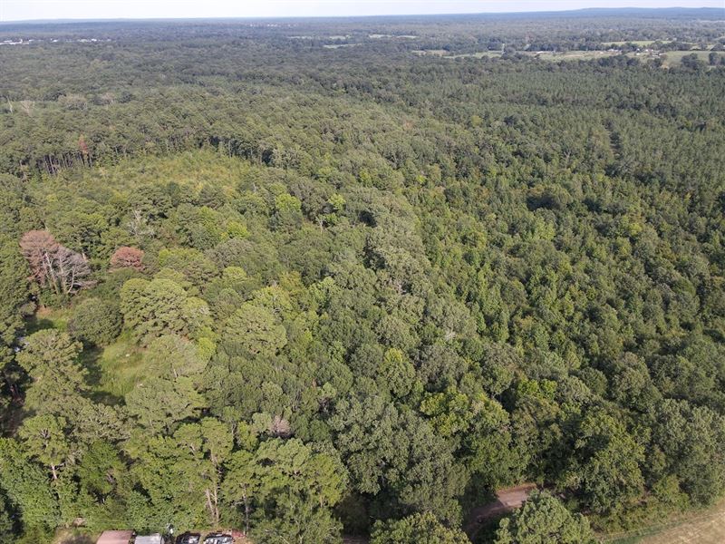 17 Ac Treed Lot in Rusk County, TX : Timpson : Rusk County : Texas