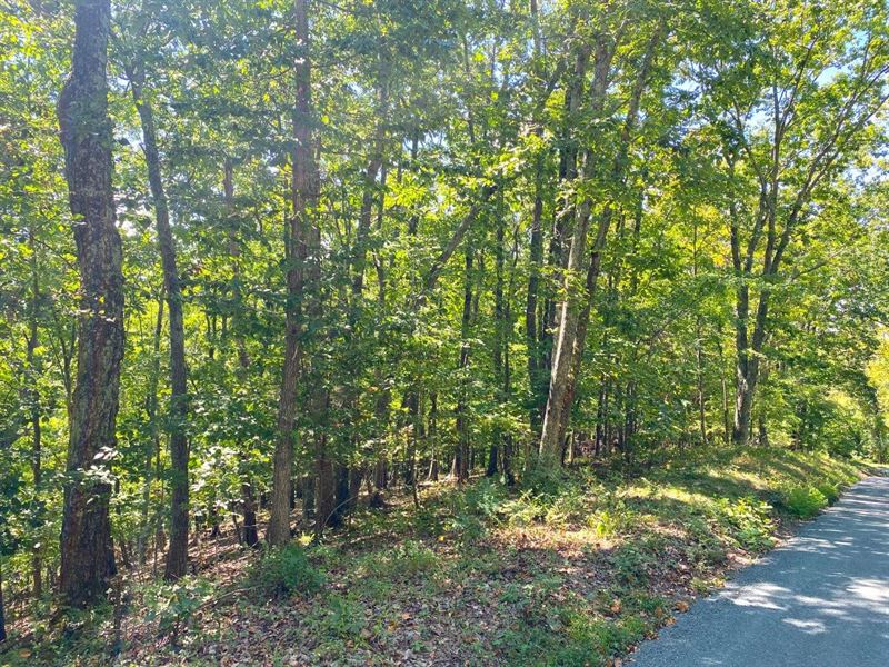 Riverside Farmland : Madison Heights : Amherst County : Virginia