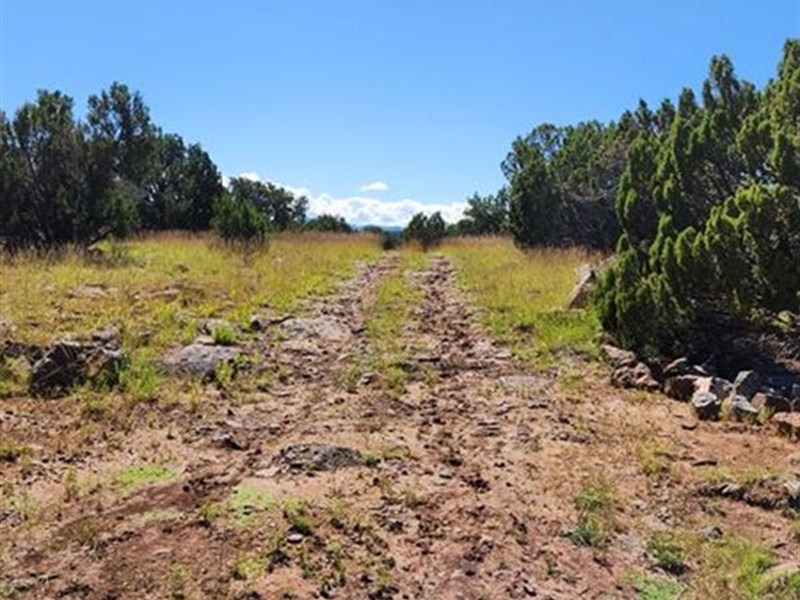 RV Friendly Arizona Lot : Concho : Apache County : Arizona