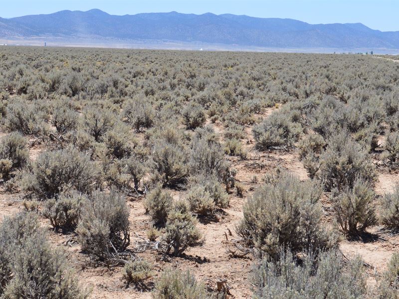 Step Onto This Desert Paradise : Beryl : Iron County : Utah