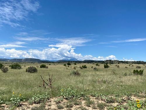 23906 Adams Rd, Trinidad, Co 81082 : Trinidad : Las Animas County : Colorado