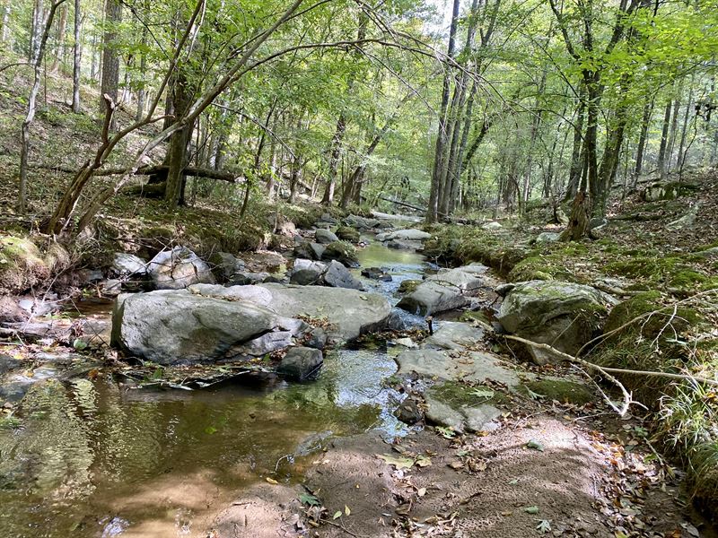 McRee Gin Road Tract : Watkinsville : Oconee County : Georgia