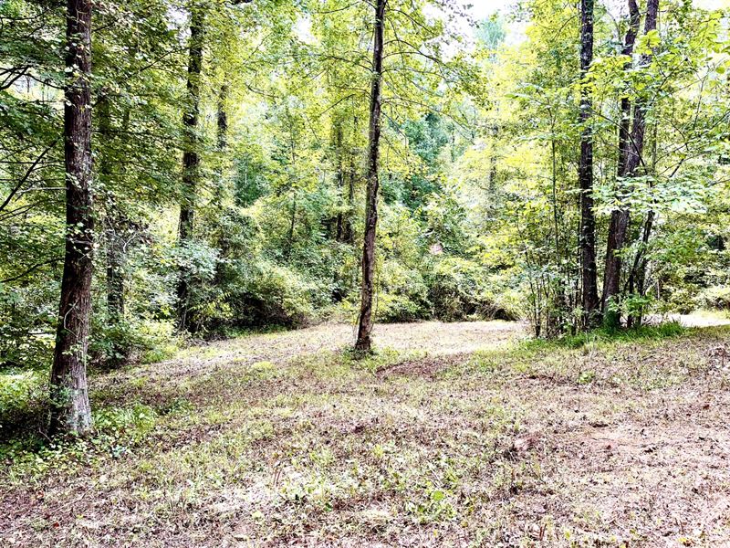2.9 Acre Lot in Tuscaloosa Co : Cottondale : Tuscaloosa County : Alabama
