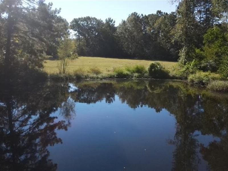 5.5 Acres in St Helena Parish Lot : Clinton : Saint Helena Parish : Louisiana