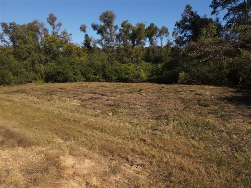 5 Acres in St Helena Parish Lot 2 : Clinton : Saint Helena Parish : Louisiana