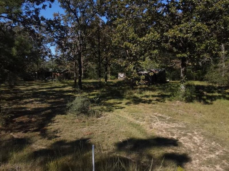 5 Acres in St Helena Parish Lot 1 : Clinton : Saint Helena Parish : Louisiana