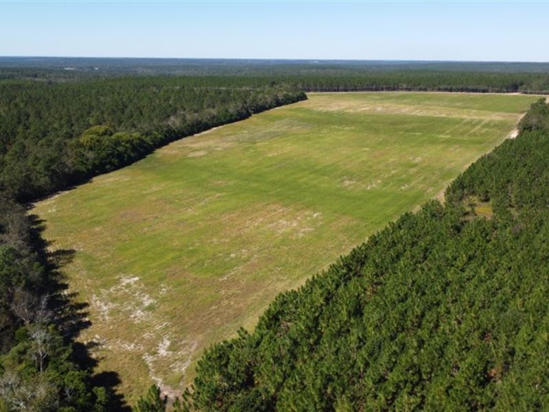 Farm, Hunt, Build : Monetta : Aiken County : South Carolina