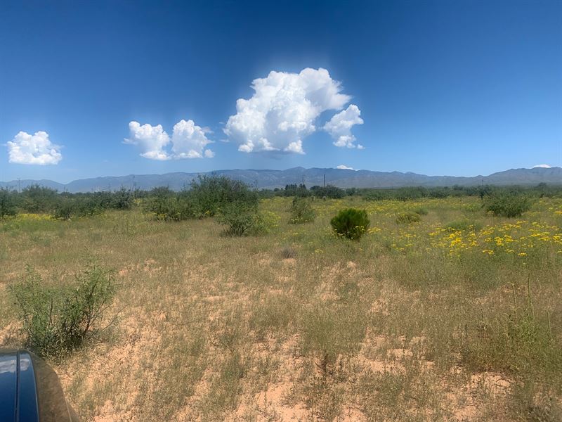 Top Notch Farm/Ranch, Power, $400/M : Willcox Area : Cochise County : Arizona