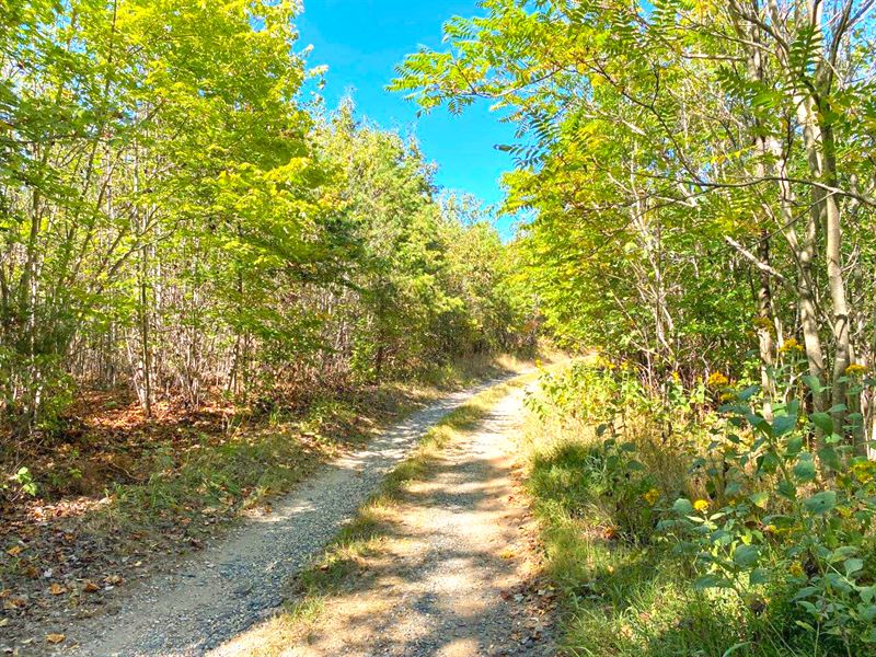 Private Country Land : Madison Heights : Amherst County : Virginia