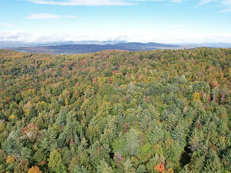 Spaulding Road Forest, Parcel Two : Saint Johnsbury : Caledonia County : Vermont