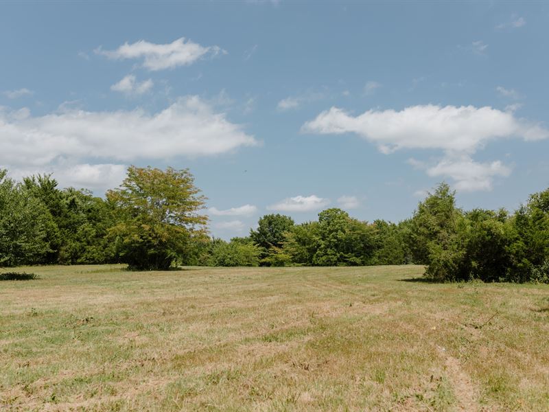 49 Acres of Cleared Farming Land : Shelbyville : Bedford County : Tennessee