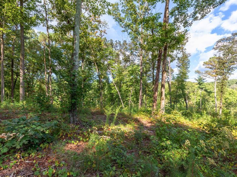 Lovely Gated Community : Ellijay : Gilmer County : Georgia