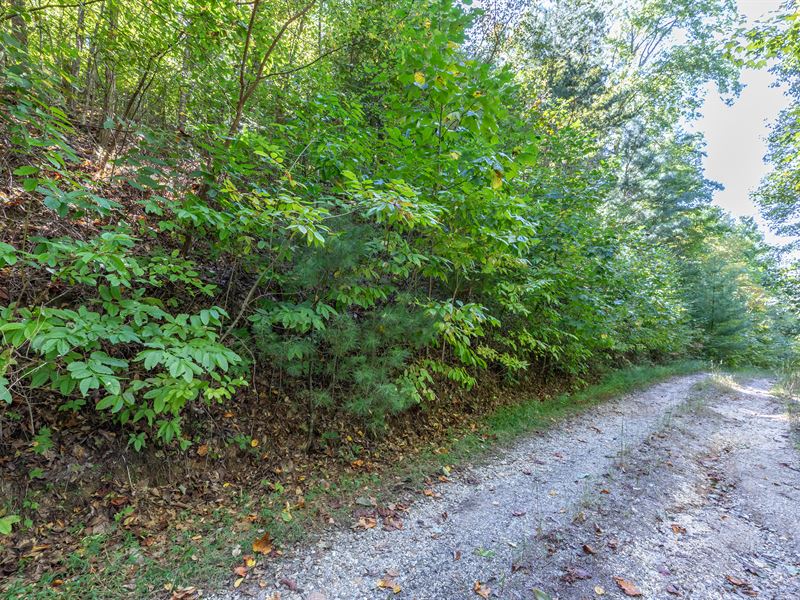 2 Lots in Trackrock Area : Blairsville : Union County : Georgia