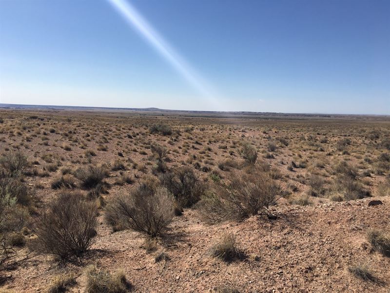 Price Drop, Ideal 1 Ac in Arizona : Adamana : Apache County : Arizona