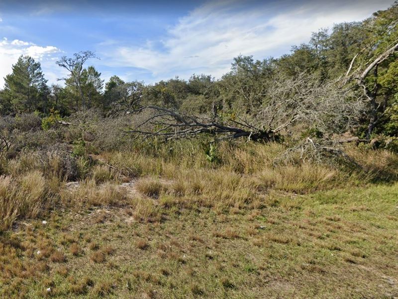 Enjoy The Dream Life in Florida : Avon Park : Highlands County : Florida