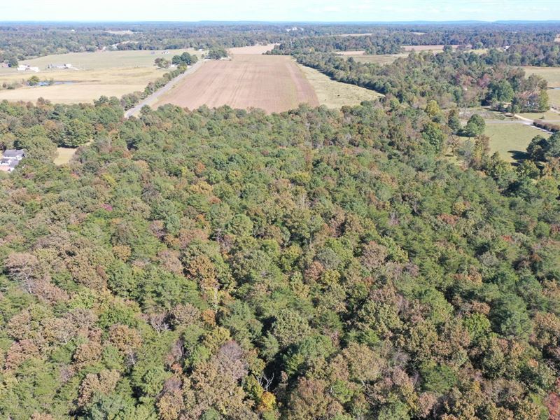 40 Acres Dutton, AL : Dutton : Jackson County : Alabama