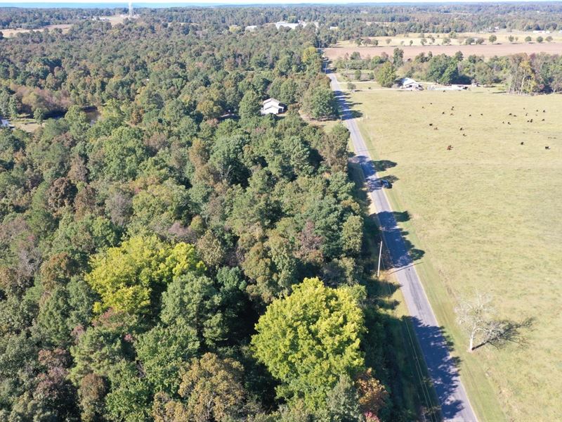 26 Acre Mini Farm Dutton, AL : Dutton : Jackson County : Alabama