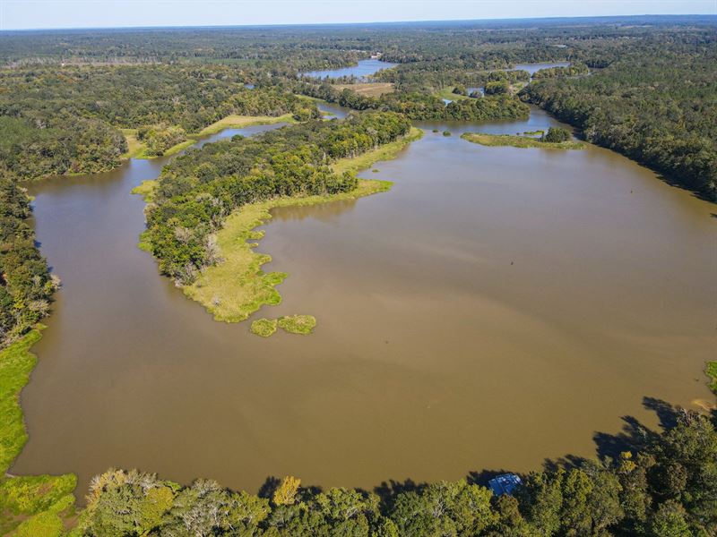 Bogue Chitto Creek Tract : Orrville : Autauga County : Alabama