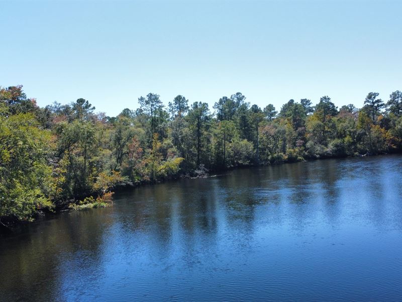 Satilla River Timber & Hunting : White Oak : Camden County : Georgia
