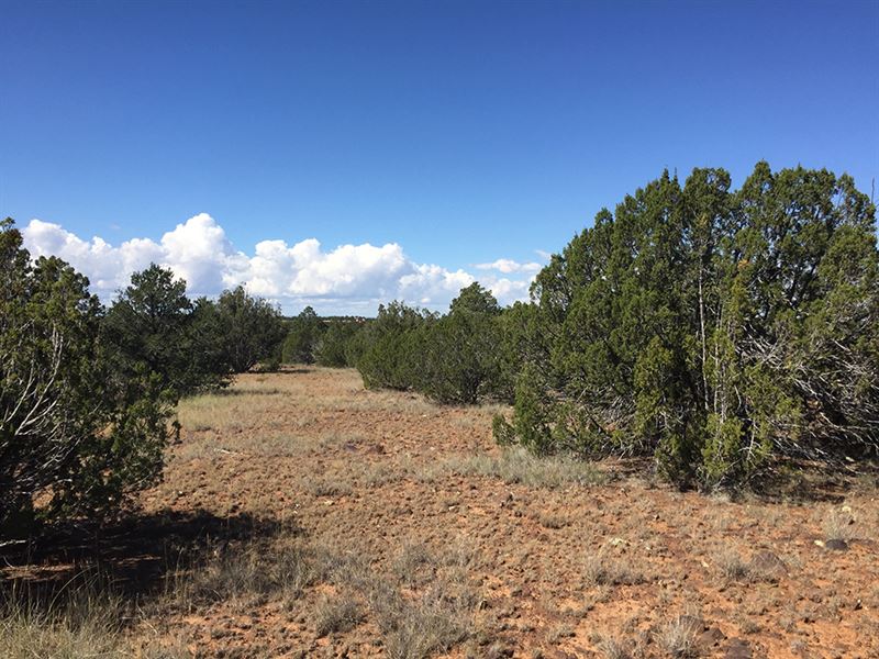 Power Lines Available : Snowflake : Navajo County : Arizona