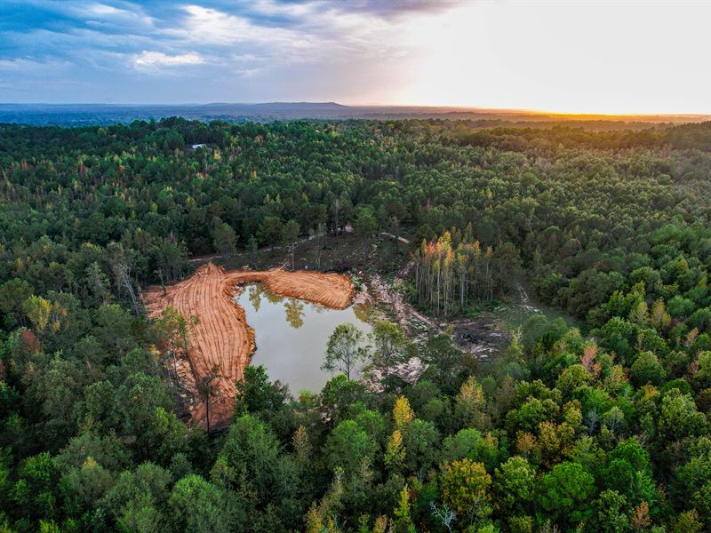 115 Acre Sportsman's Paradise : Daingerfield : Morris County : Texas