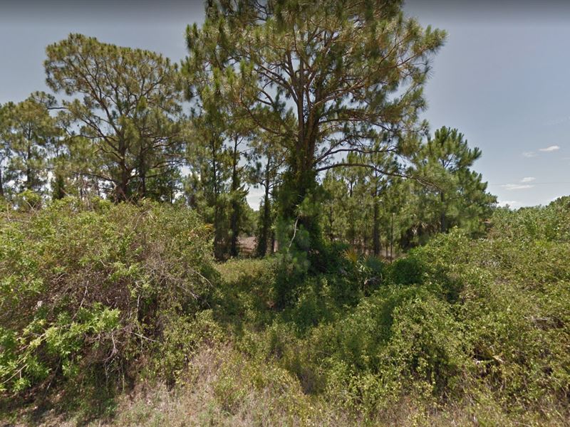 Forget All Your Troubles in Florida : Punta Gorda : Charlotte County : Florida