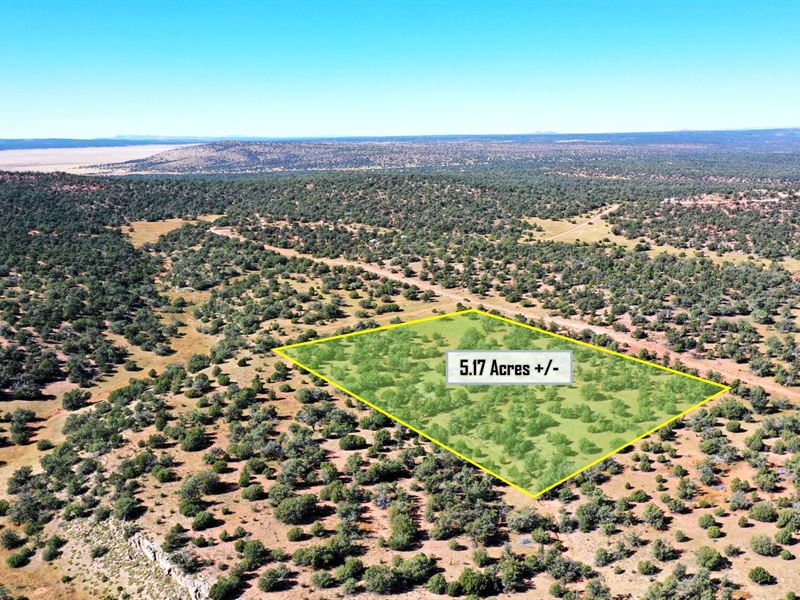 5.17 Acres in Seligman, AZ : Seligman : Yavapai County : Arizona
