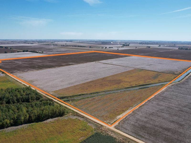 Income Producing Farmland : Monette : Craighead County : Arkansas