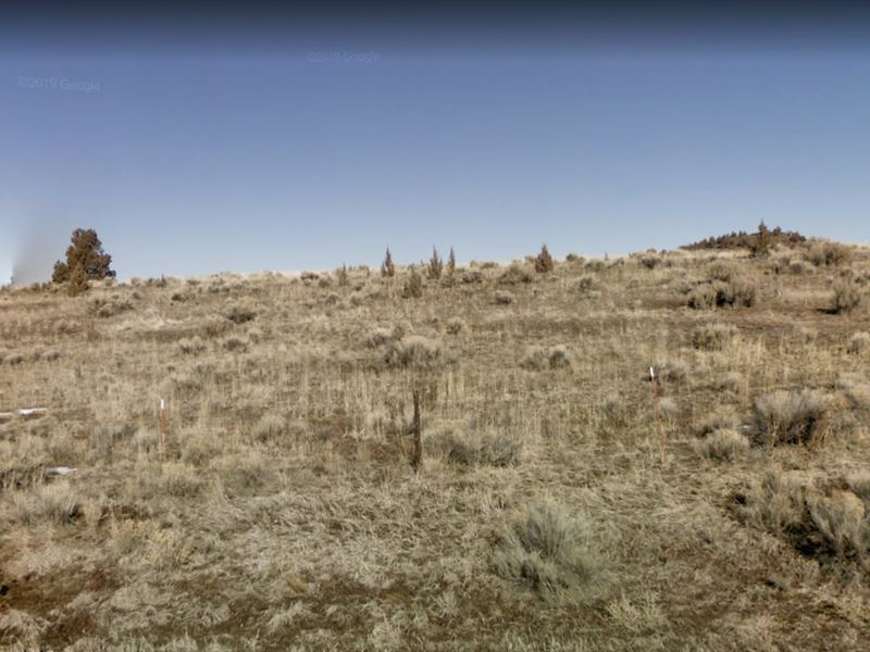 Adventures in Modoc County, CA : California Pines : Modoc County : California