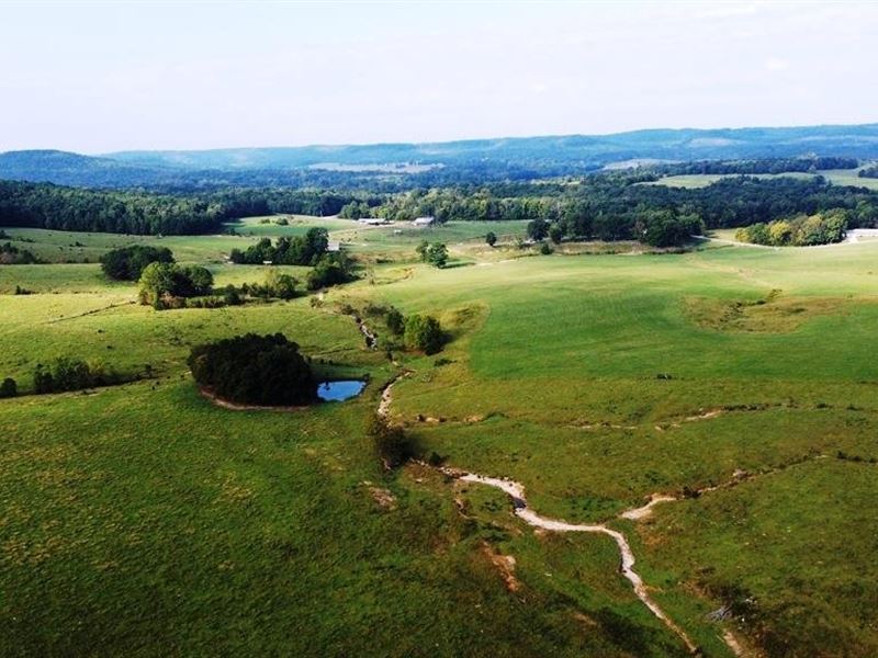 Freedom Hills Cattle Farm : Cherokee : Colbert County : Alabama