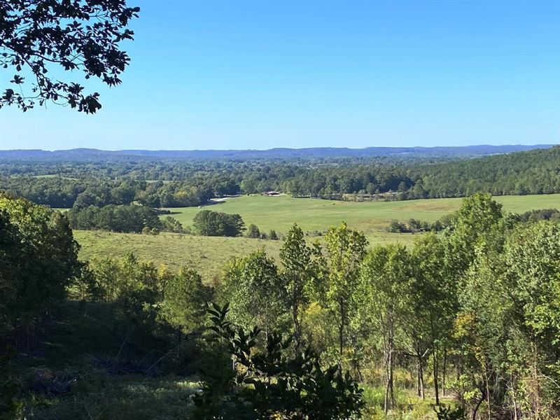 Freedom Hills Timberland : Cherokee : Colbert County : Alabama