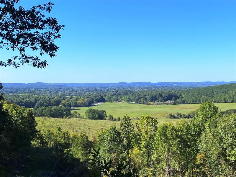 Freedom Hills Farm : Cherokee : Colbert County : Alabama