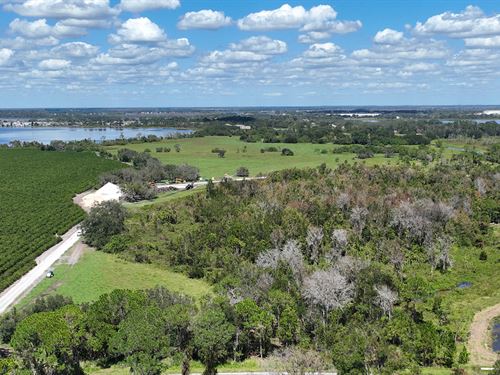 Willowbrook South Development Land : Winter Haven : Polk County : Florida