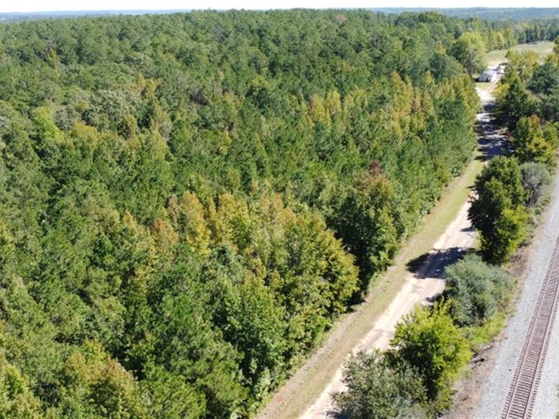 Rural Homesite Opportunity : Winnsboro : Fairfield County : South Carolina