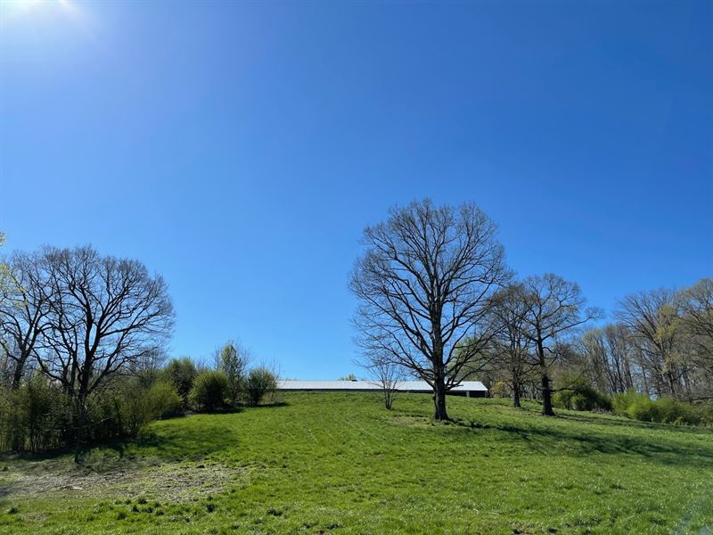 Alexander Farm : Cleveland : White County : Georgia