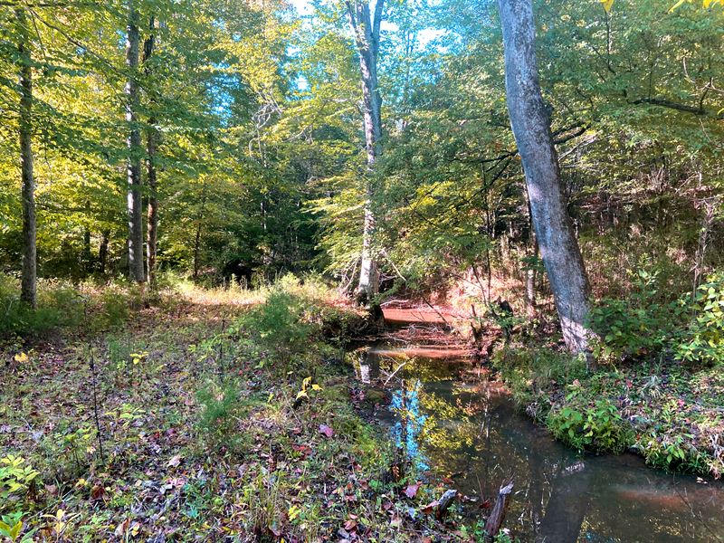 Craigo Road Tract : Fountain Inn : Greenville County : South Carolina