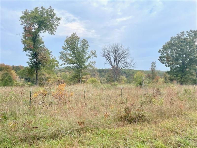 Farm That Joins National Forest : Mountain Grove : Douglas County : Missouri